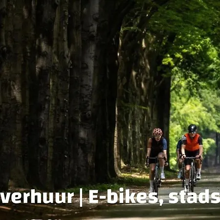 Boschalet Magnolia Ferienpark *